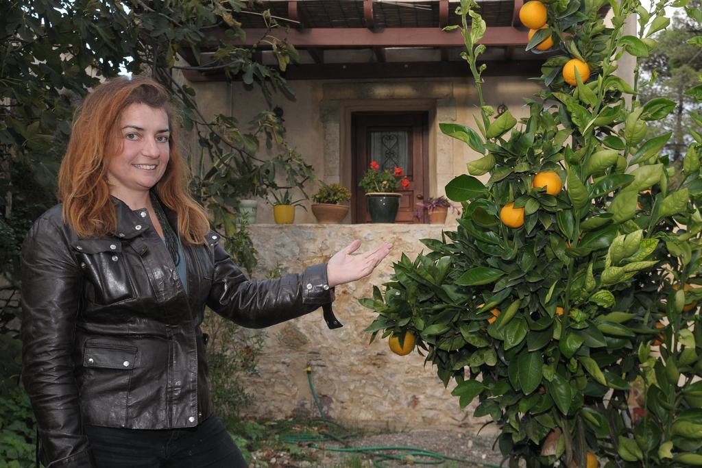 Porfyrousa Traditional Hotel Milopotamos  Luaran gambar